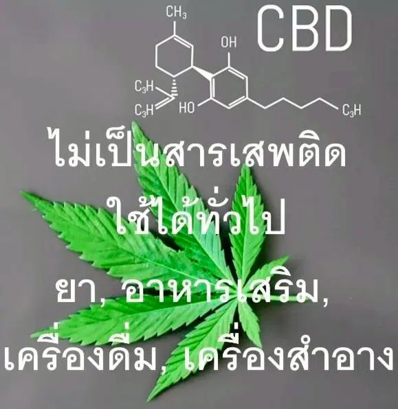 cbd คืออะไร