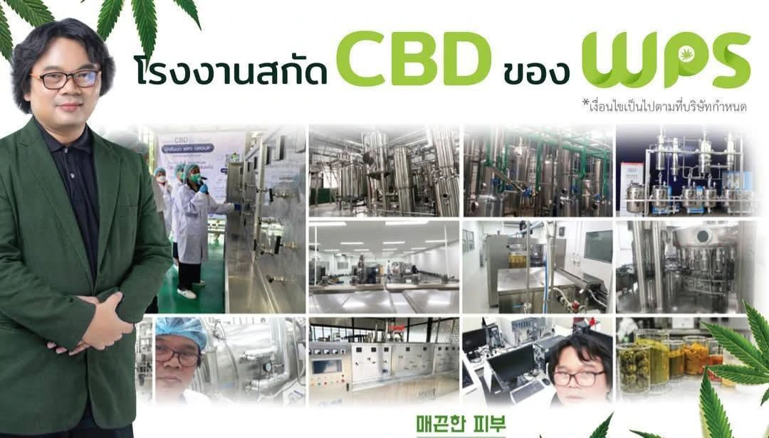 cbd wps